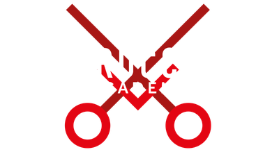 I Parrucchieri Academy